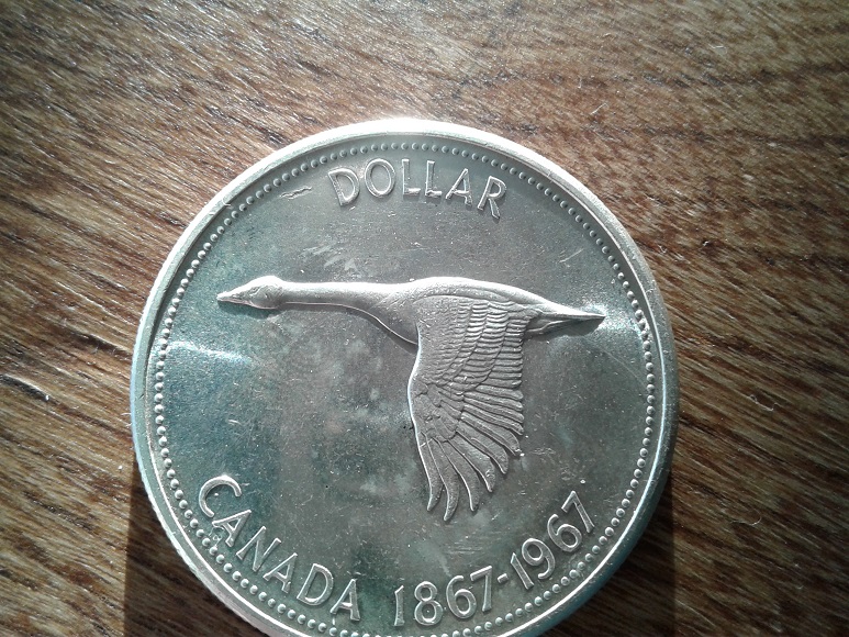 Help-In-Grading-A-1967-Dollar